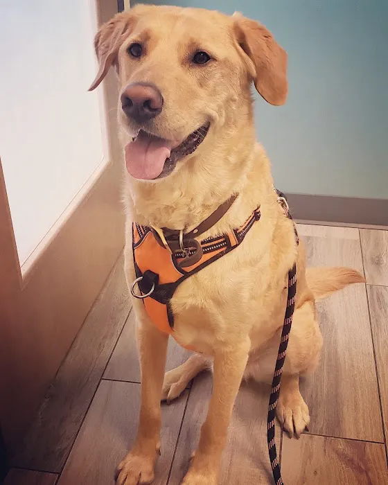 Northfield Veterinary Hospital 12