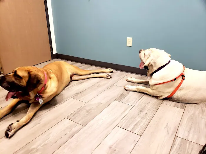Northfield Veterinary Hospital 12