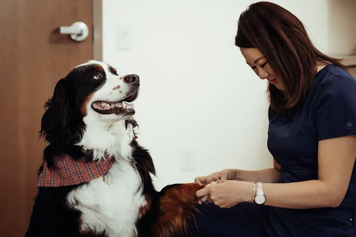 Founders Green Animal Hospital 12