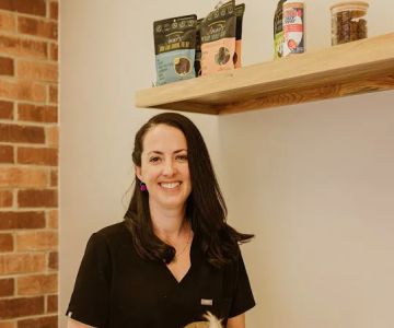 Urban Paw Veterinary Health and Rehabilitation