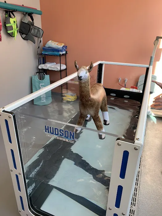 Urban Paw Veterinary Health and Rehabilitation 12