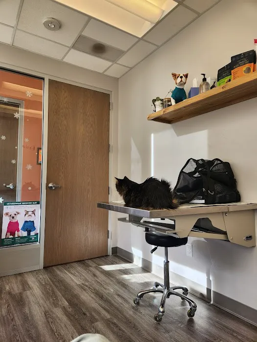 Urban Paw Veterinary Health and Rehabilitation 12