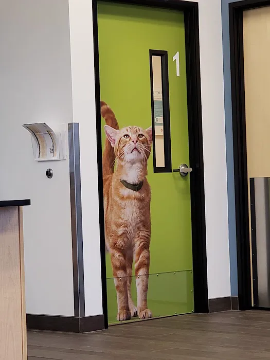 Banfield Pet Hospital 12