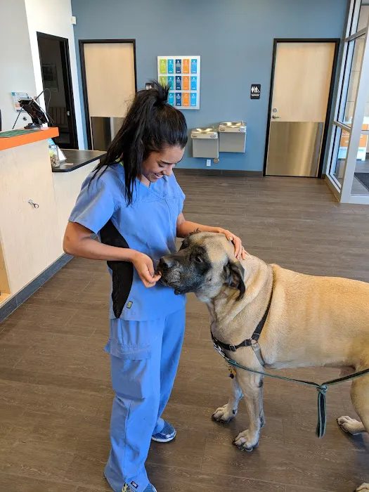 Banfield Pet Hospital 12