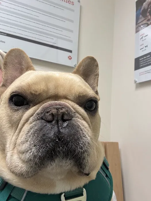 Banfield Pet Hospital 12
