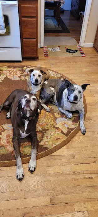 Aspen Ridge Animal Hospital 4