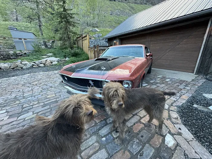Lookout Mountain Animal Hospital 2
