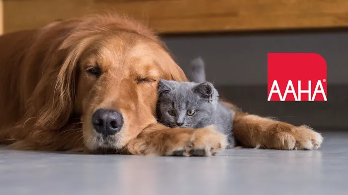 American Animal Hospital Association 12