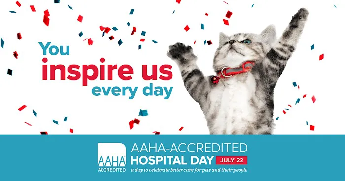 American Animal Hospital Association 12