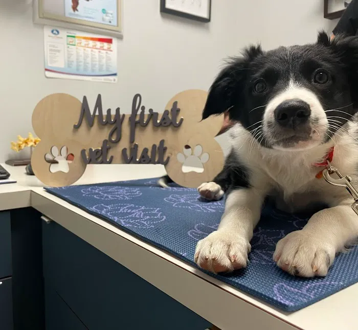 Genesee Veterinary Hospital 12