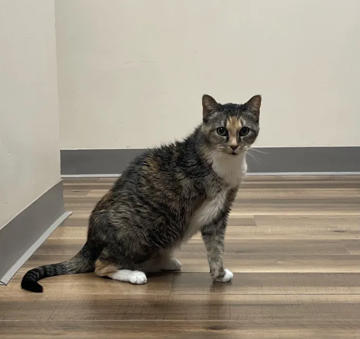 Genesee Veterinary Hospital 12