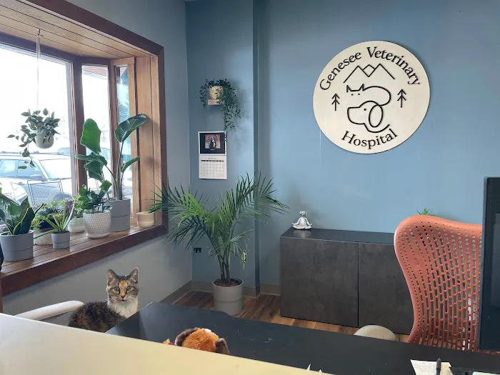 Genesee Veterinary Hospital 12