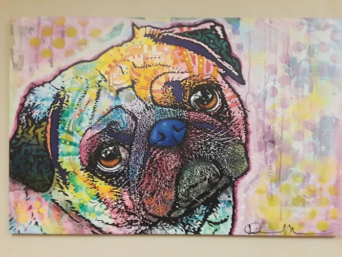 Family Veterinary Hospital 5