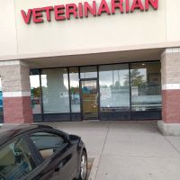 Guardian Angel Veterinary Care ico