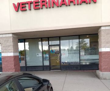 Guardian Angel Veterinary Care