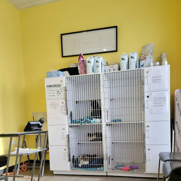 Guardian Angel Veterinary Care 7