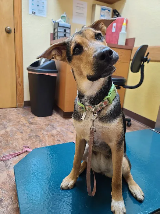 Dr. Bob Irelan's Veterinary Services 1