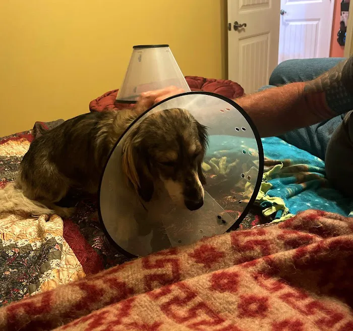 Dr. Bob Irelan's Veterinary Services 8