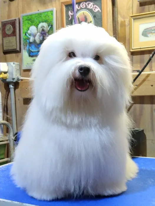 Dr. Bob Irelan's Veterinary Services 3