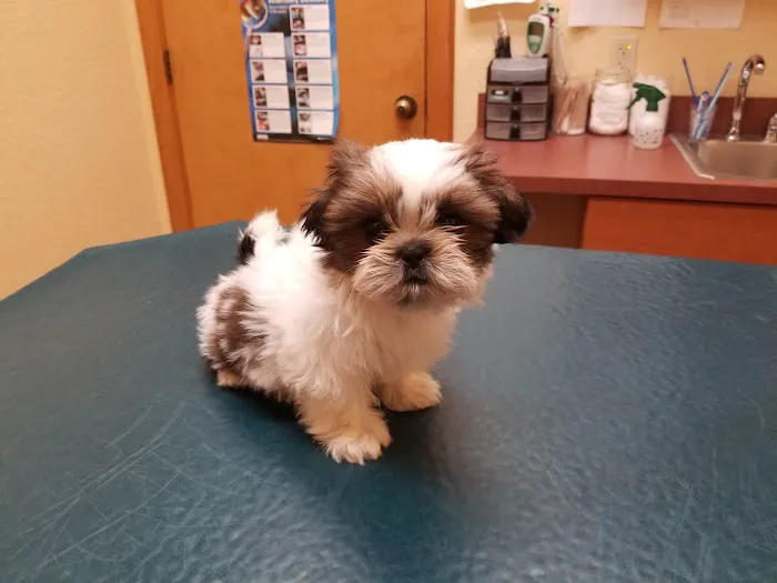 Dr. Bob Irelan's Veterinary Services 6