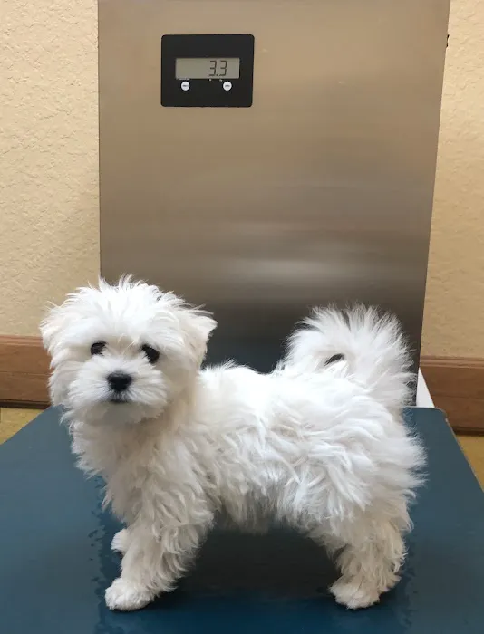 Dr. Bob Irelan's Veterinary Services 2