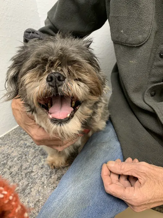 Christina Animal Hospital 6