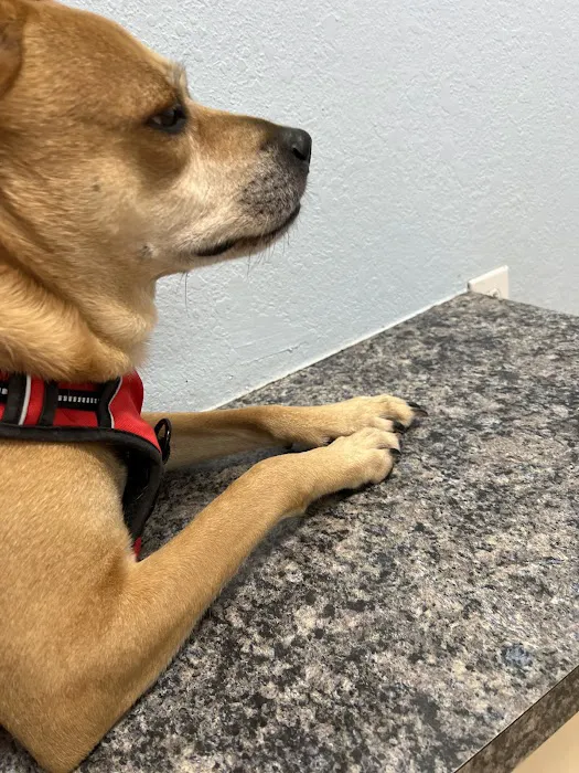 Christina Animal Hospital 7