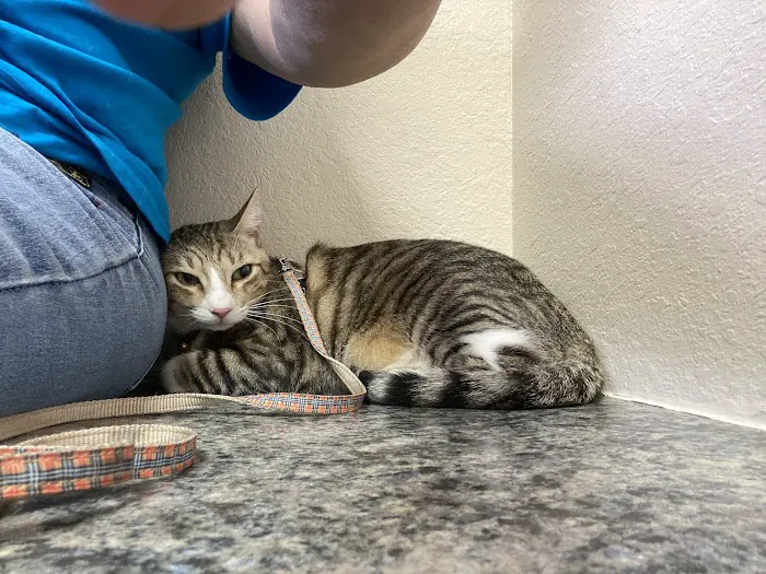 Christina Animal Hospital 10