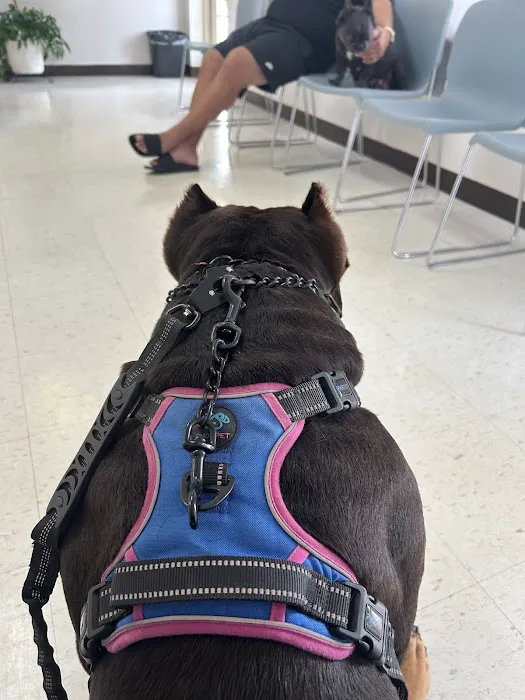 TRC Veterinary Services 12