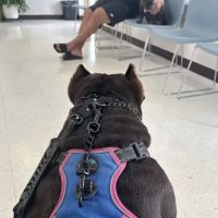 TRC Veterinary Services ico