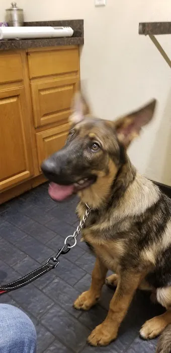 Companion Animal Hospital 4