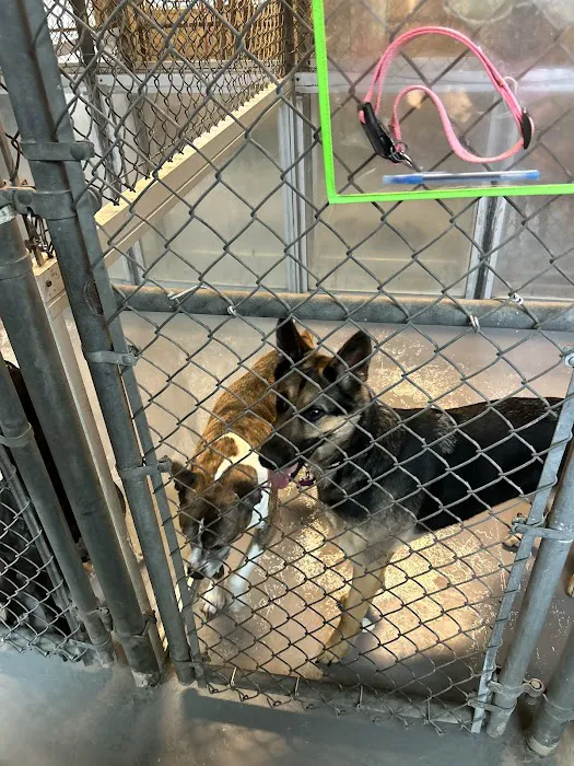 Companion Animal Hospital 10