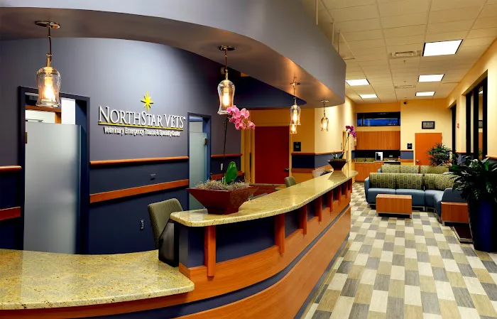 NorthStar VETS 6