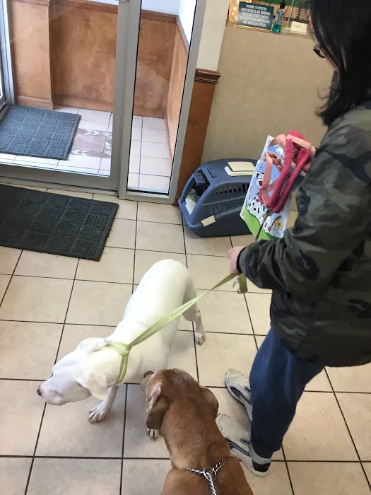 Delaware County Animal Hospital 3