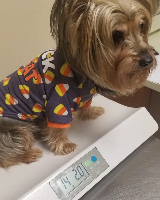 Delaware County Animal Hospital 5