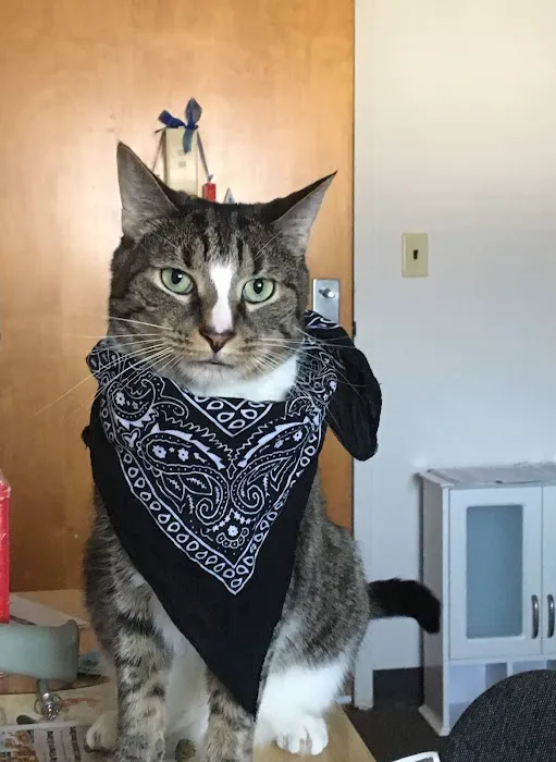 Delaware County Animal Hospital 6