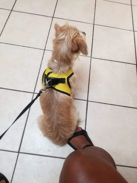 Delaware County Animal Hospital 9