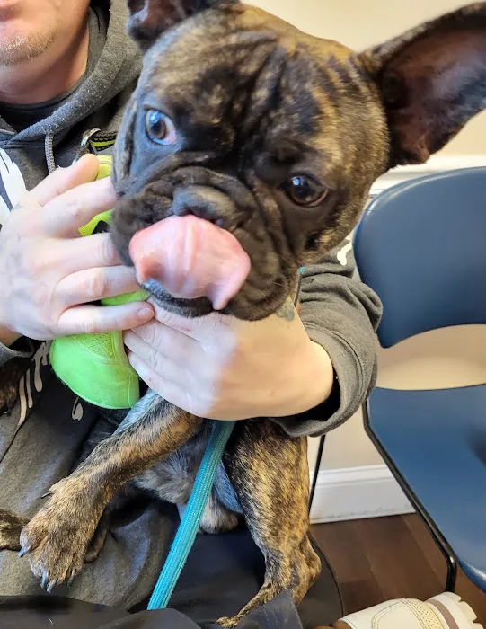 World of Animals Veterinary Hospital at Mayfair 12