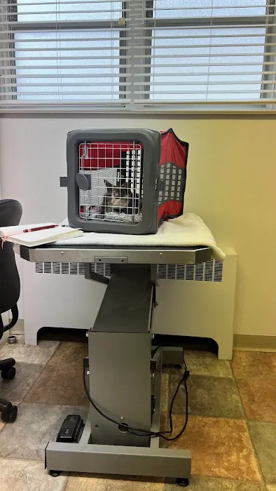 Lansdowne Veterinary Hospital 1