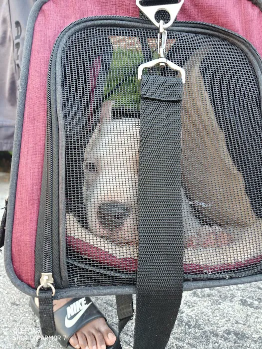 Lansdowne Veterinary Hospital 4