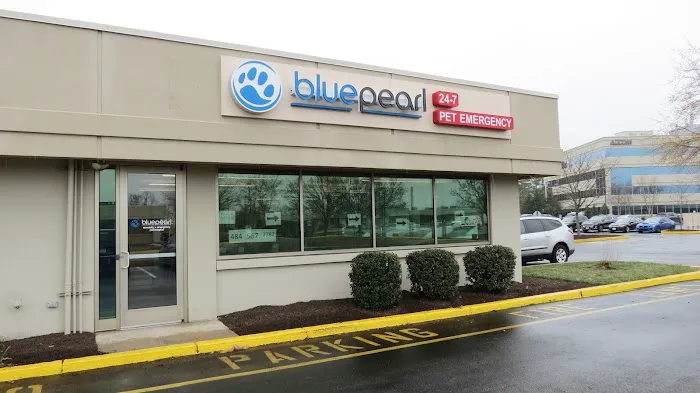 Blue Pearl Pet Hospital 1