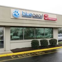 Blue Pearl Pet Hospital ico