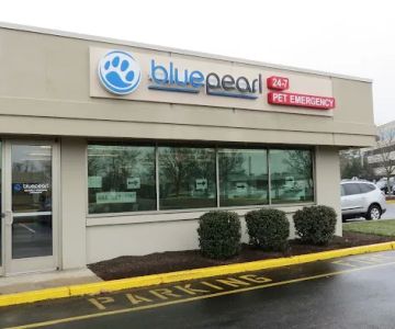 Blue Pearl Pet Hospital