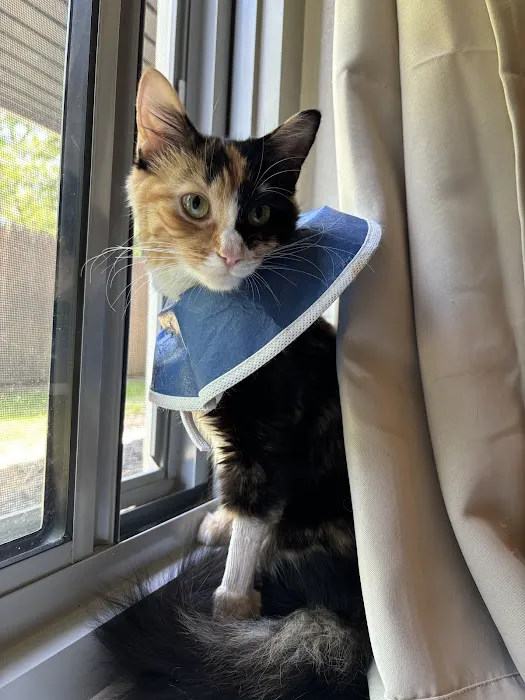 Blue Pearl Pet Hospital 7