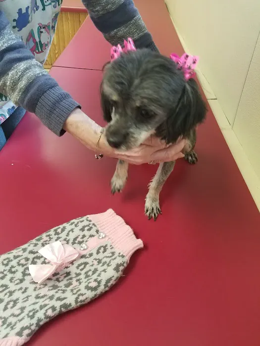 Delco Veterinary Hospital 4