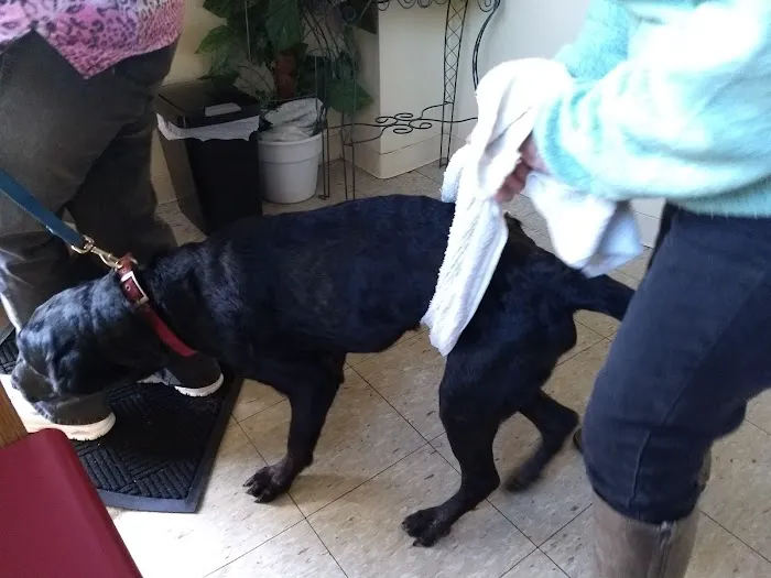 Delco Veterinary Hospital 6