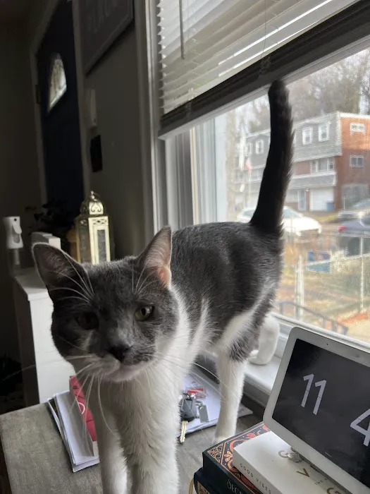 Delco Veterinary Hospital 9