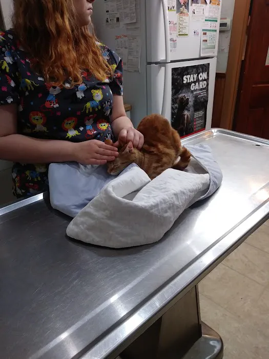 Frankford Animal Clinic 6