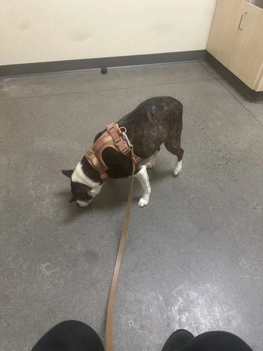 Vetco Total Care Animal Hospital 1