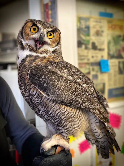 Avian & Exotic Philly Vet Medical Surgical Clinic 9